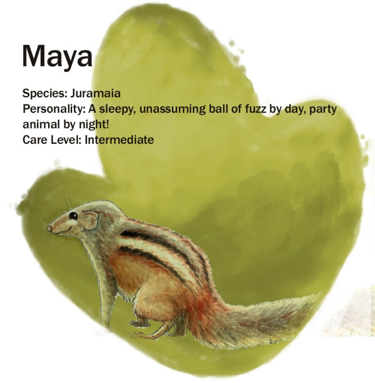 Maya