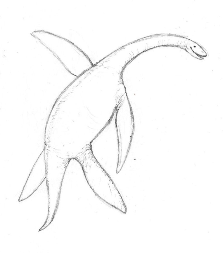 Plesiosaurus