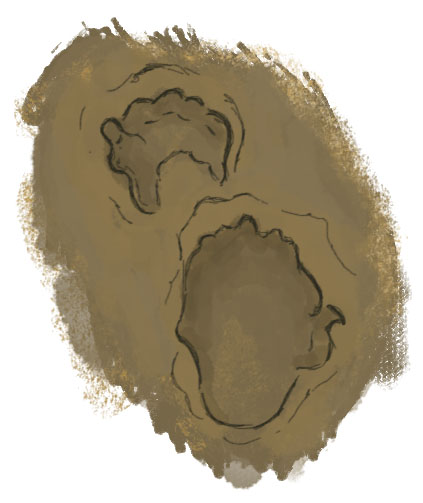 Ajax tracks copy.jpg