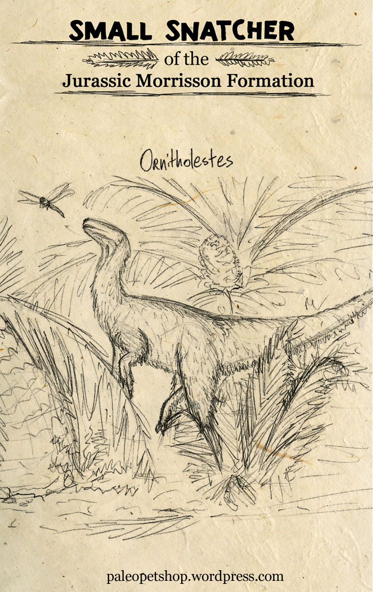 small snatcher_flat.jpg