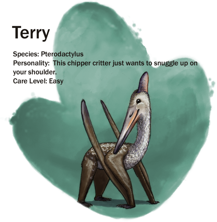 Terry.png