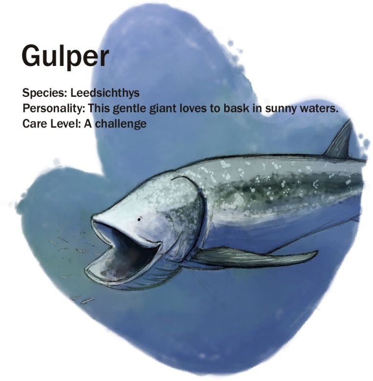 gulper