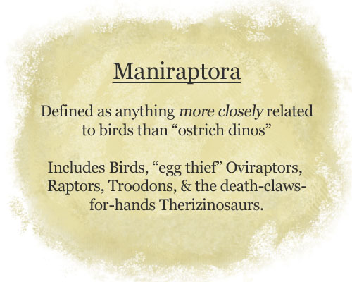 maniraptora-copy