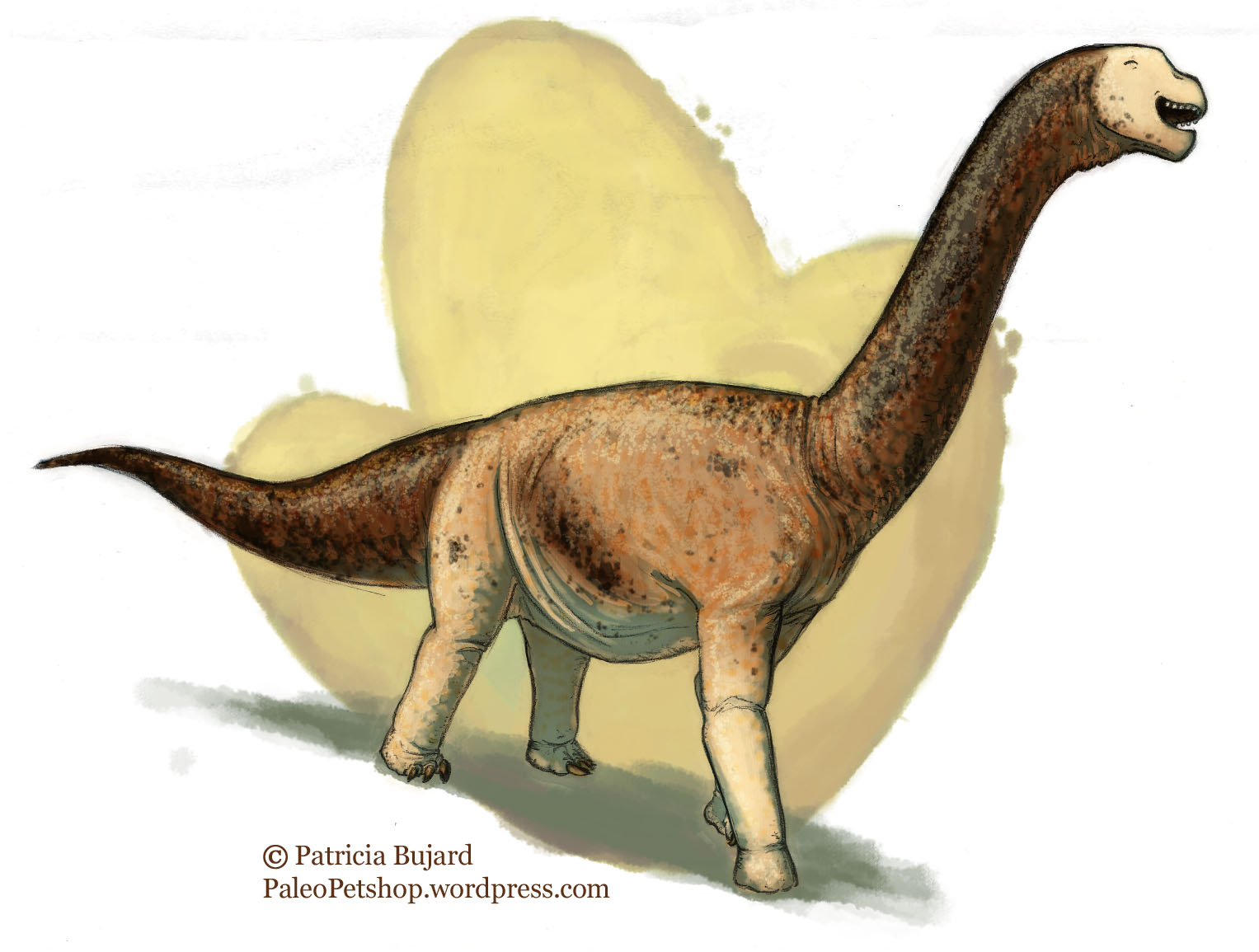 camarasaurus_dino