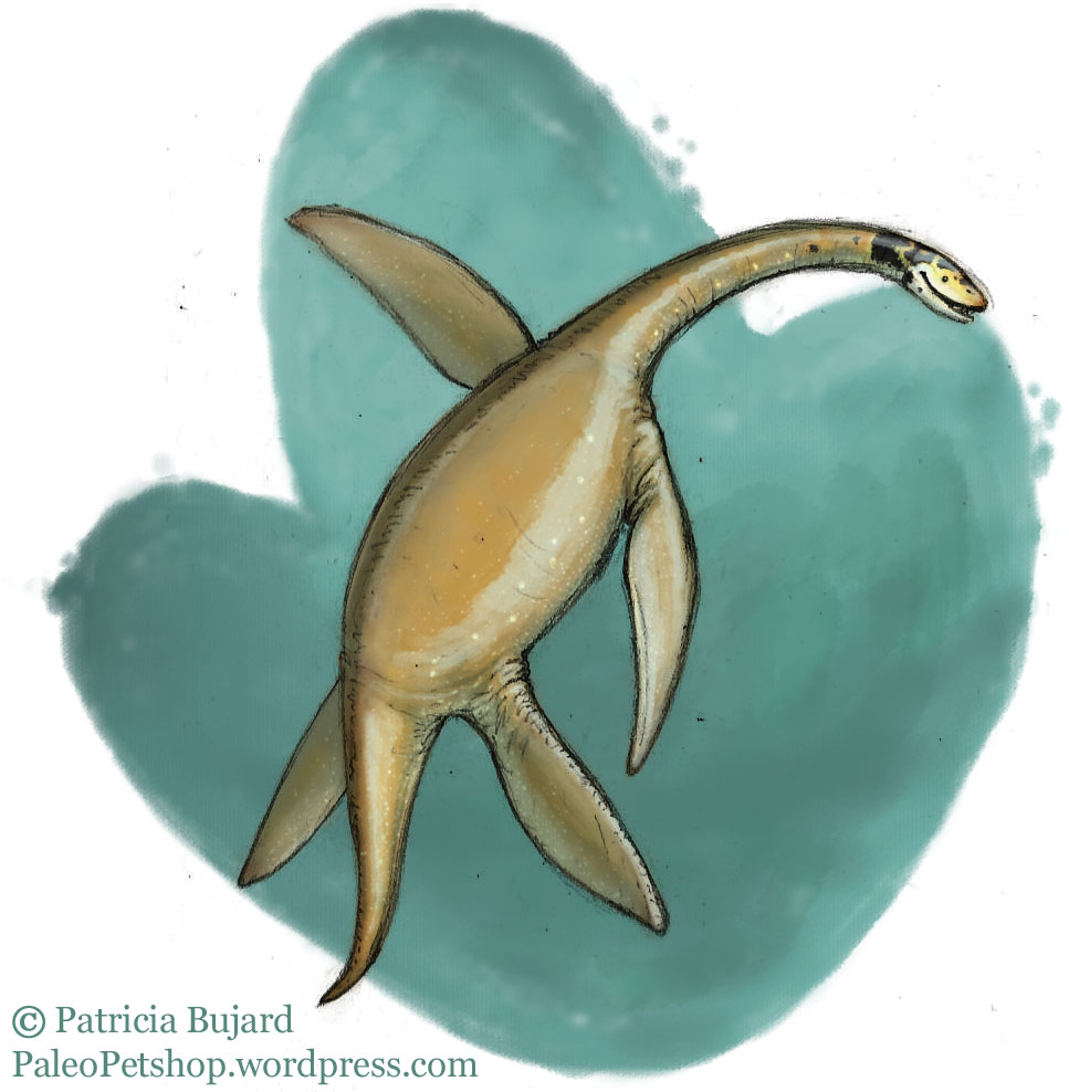 Plesiosaurus_not dino.jpg