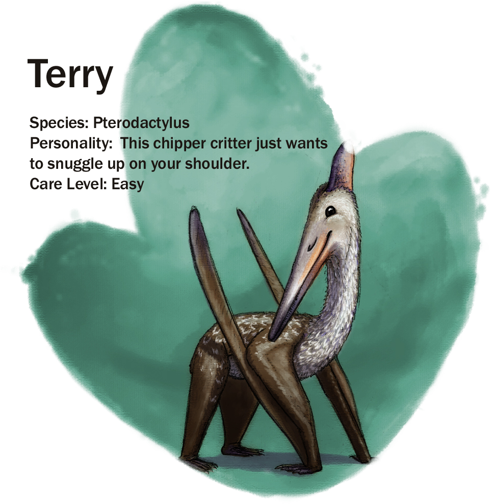 terry-update