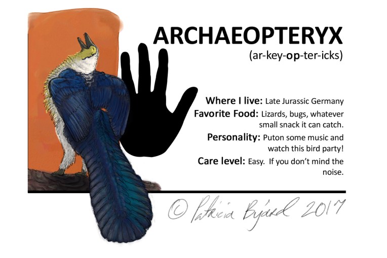 Archaeopteryx box