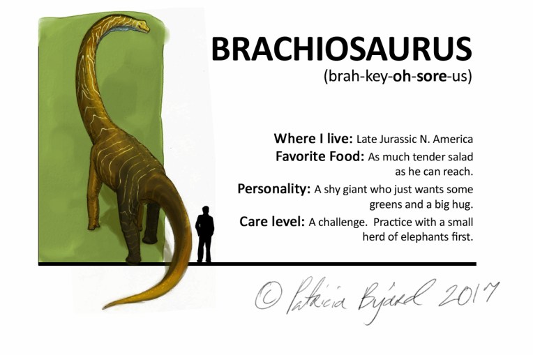 Brachiosaurus box