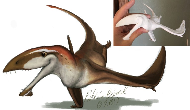 Dimorphodon_highlightcolor