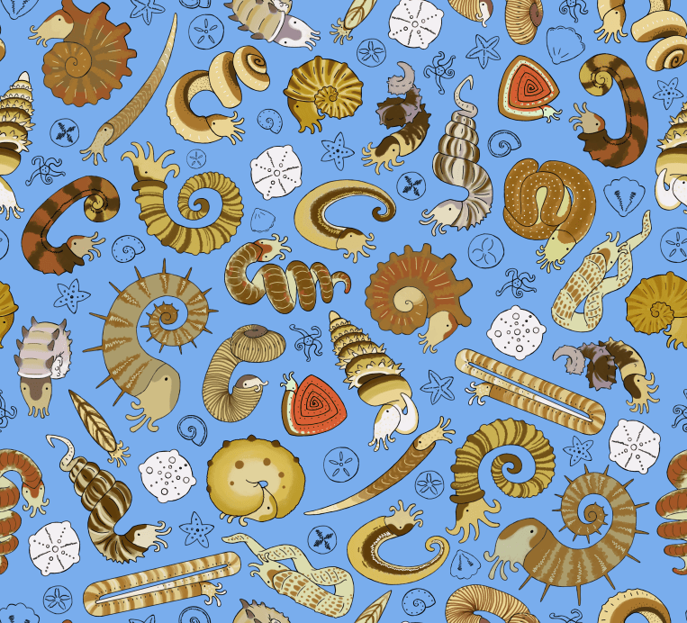 Ammonite love pattern_natural_redbubble.png