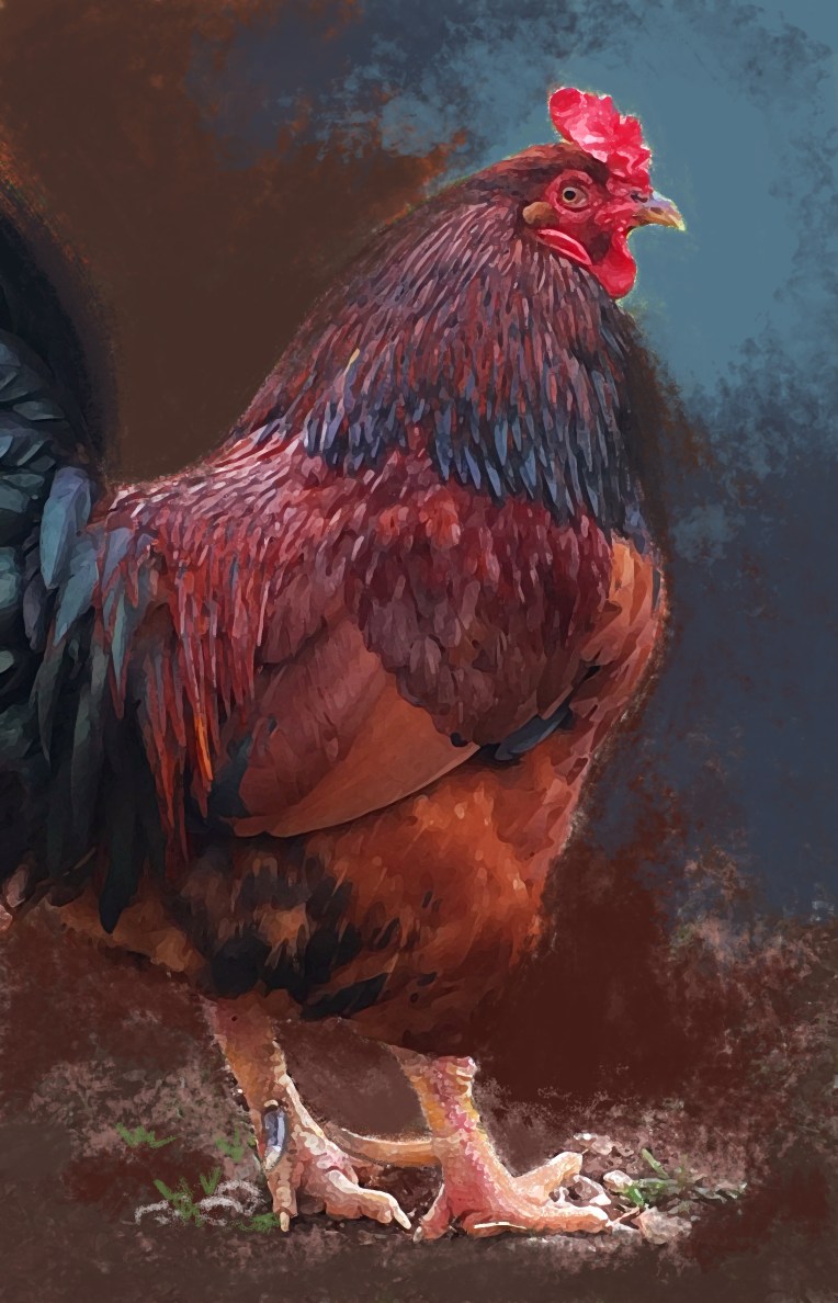 painterly rooster.jpg