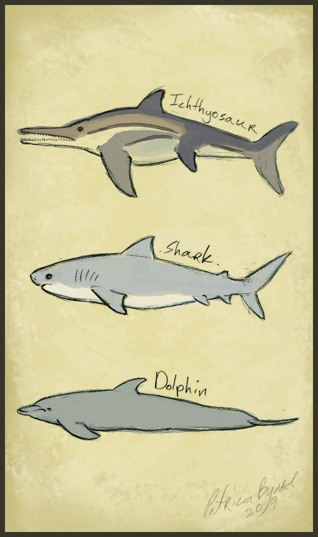 what is it_ichthyosaur.jpg