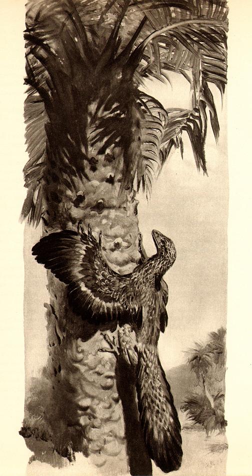 5520881345_fdbde1d666_o