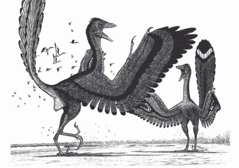 archaeopteryx.jpg