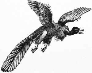 media_httpwwwarchaeop_tvedl