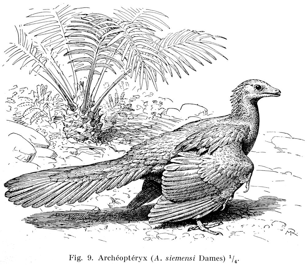 reichel_fig09.gif.scaled1000