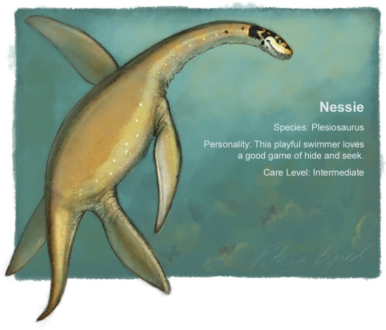 Nessie profile_boxupdate.jpg