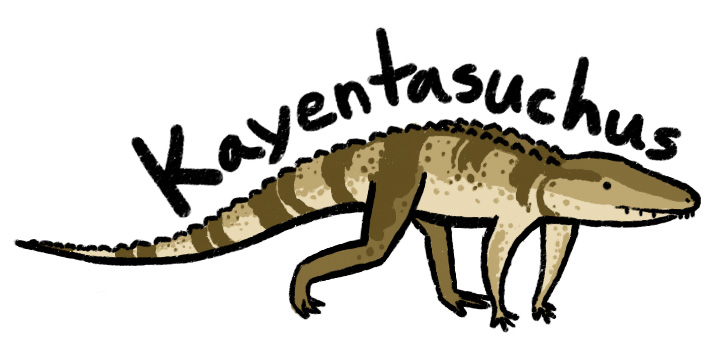 chibi_Kayentasuchus