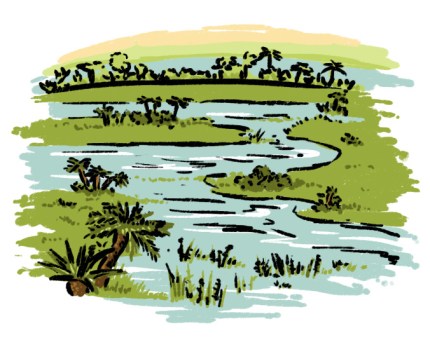 wet floodplains