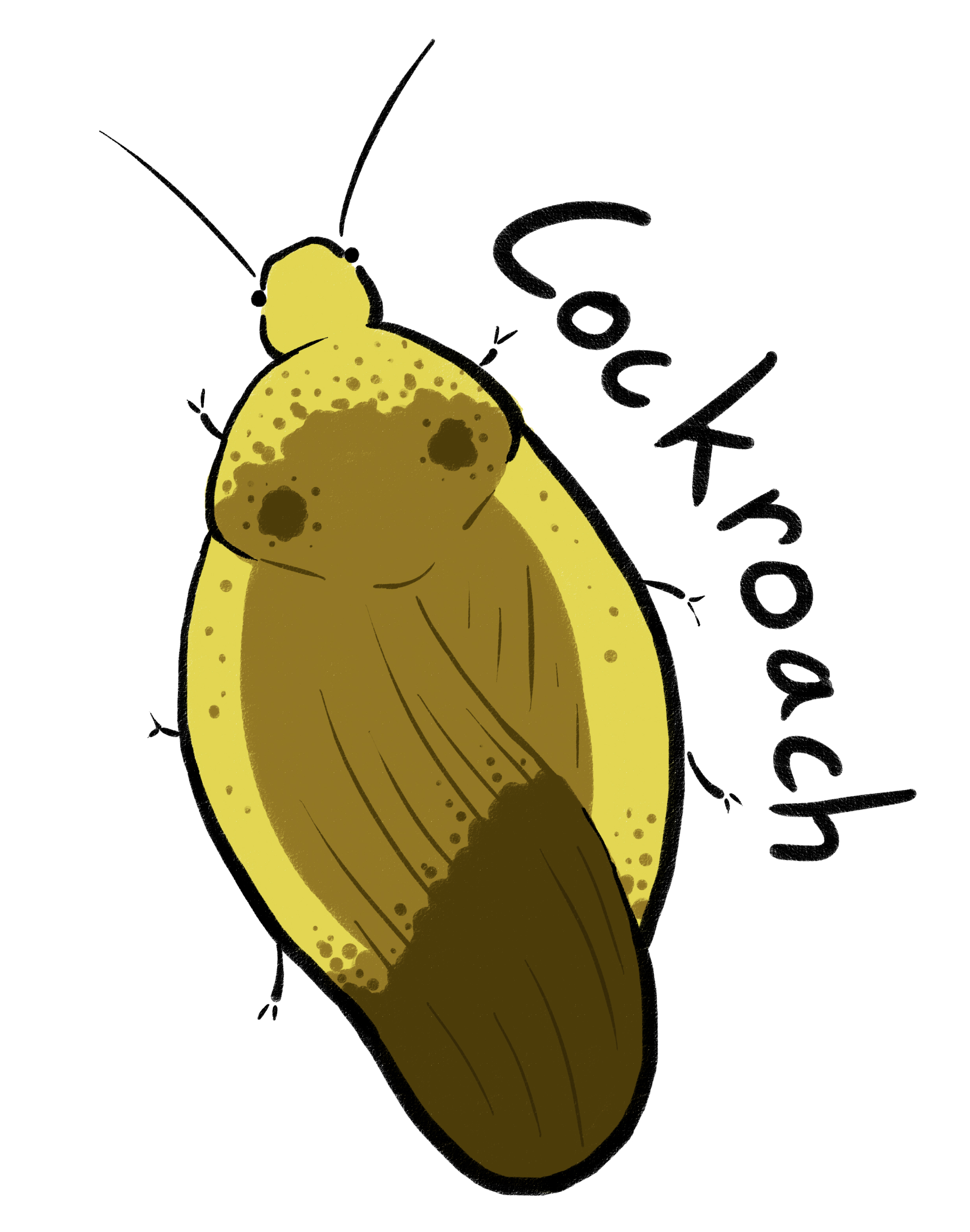 Fossil Friday: Insects Part 5 – Pete's Paleo Petshop