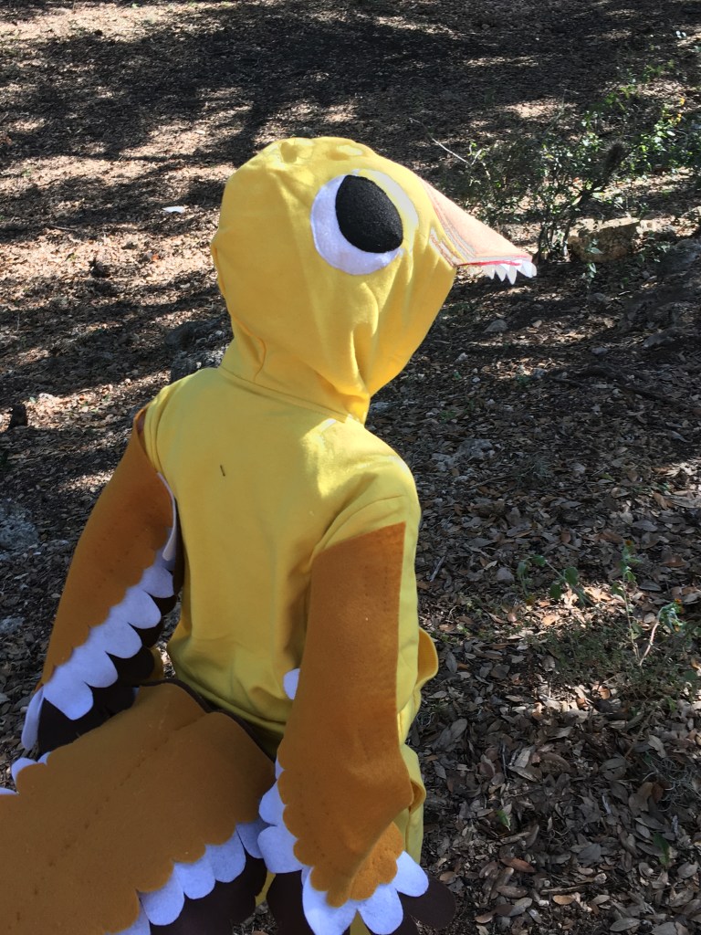 A cute Utahraptor! My boy loves his costume. :)