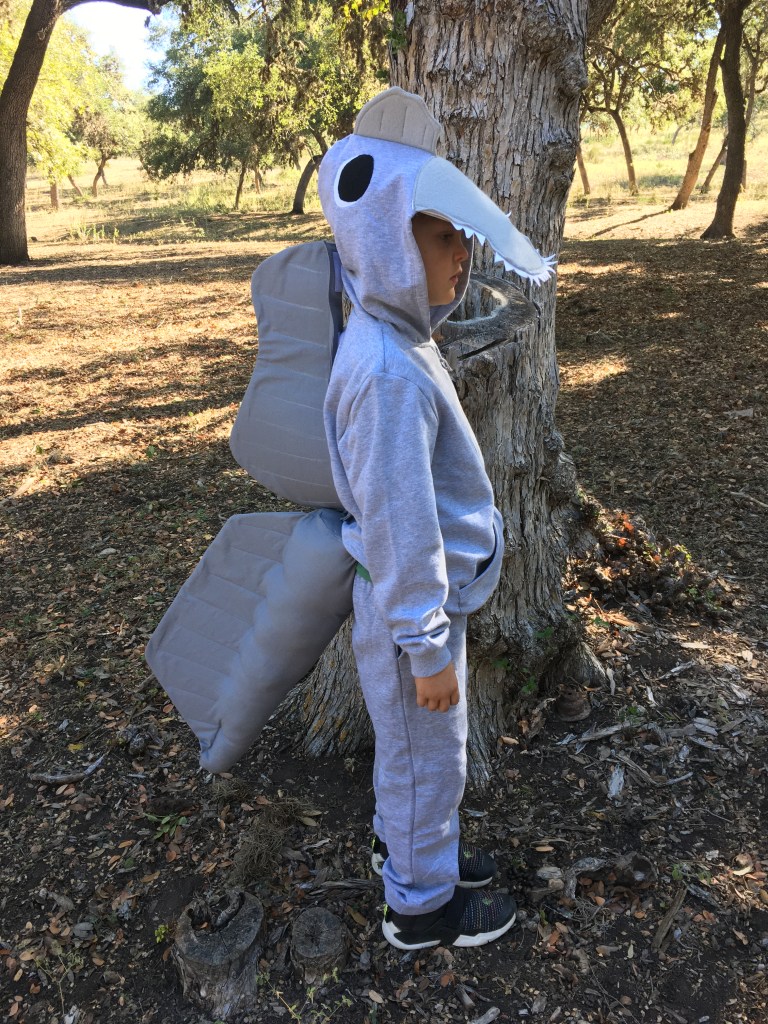 My eldest son dressed as Spinosaurus. 