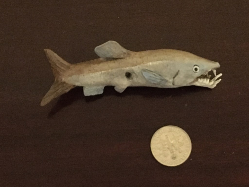 My tiny Enchodus compared to a dime.