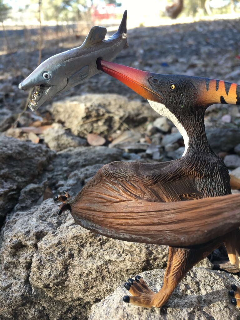 Pteranodon spears an Enchodus.