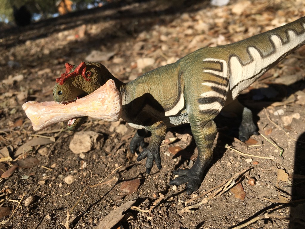 An Allosaurus has a big bone.