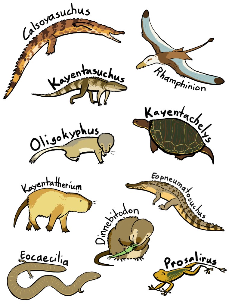 Miscellaneous Kayenta menagerie from 2020.