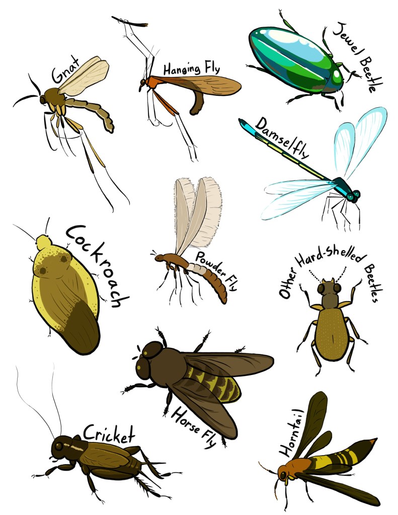 More insects
