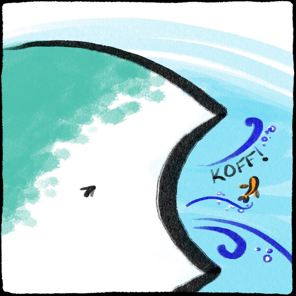 This is not what I ordered!