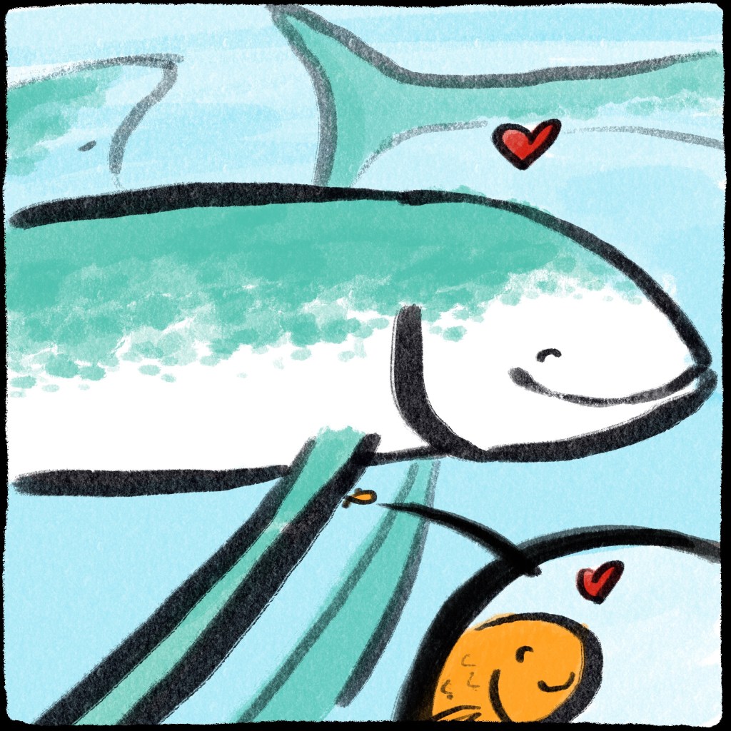 This is a much safer place.