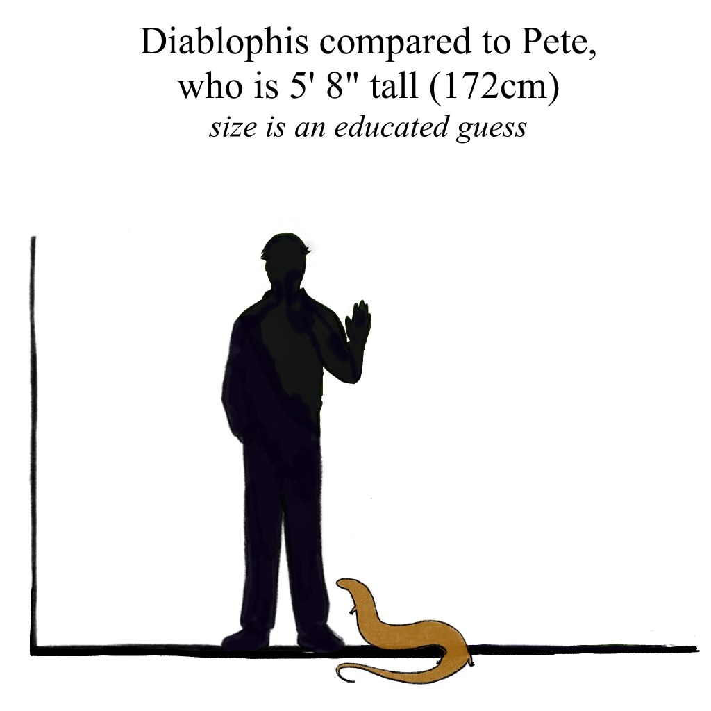 It’s hard enough to measure live snakes, let alone extinct ones. Let’s guess 5 feet.