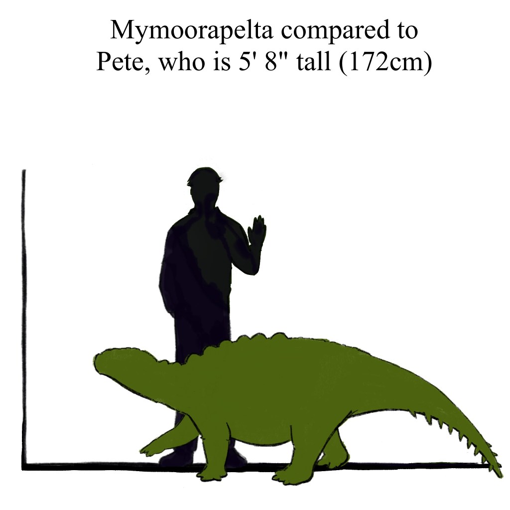 Mymoorapelta is about the size of your average coffee table, but are generally too bumpy for placing drinks. So I don’t recommend it.