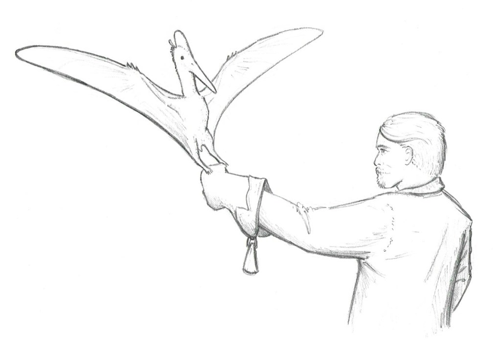 Pterodactylus will fly to your hand for treats! Pete wears a glove to avoid accidental scratches.