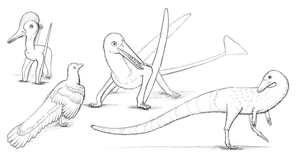 Solnhofen neighbors from left to right...Pterodactylus, Archeopteryx, Rhamphorynchus, and Compsognathus.