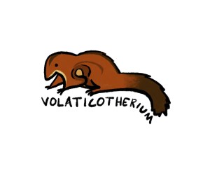 Volaticotherium, the original "flying squirrel"
